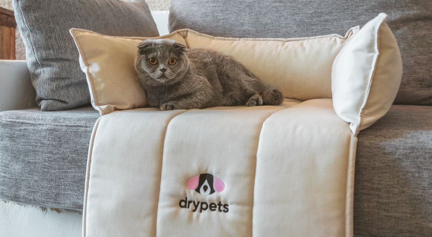 Gato en cama para sofa de Drypets