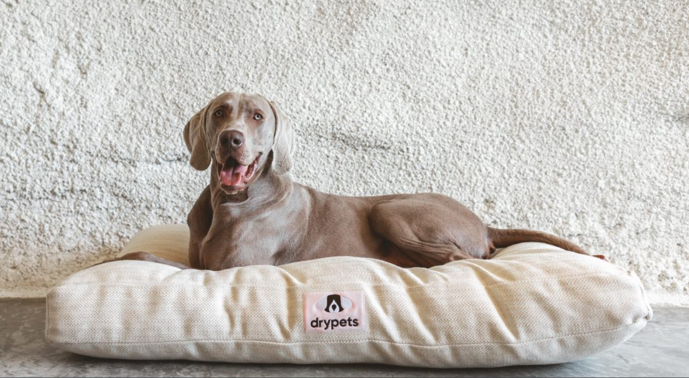 Cama de Drypets antiparasitos para perros y gatos